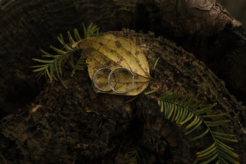 リングが主役の一枚