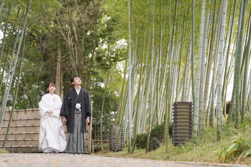 景色を見上げながら