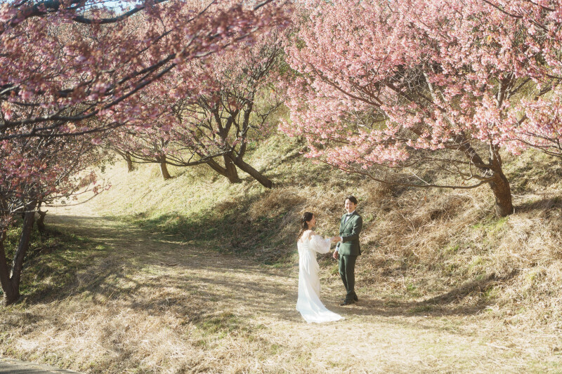 2月でも桜で撮れちゃいます！