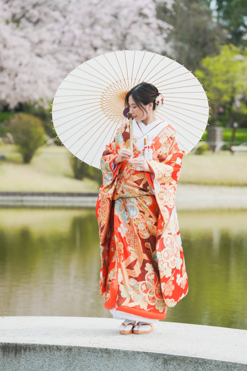これまた美しい。