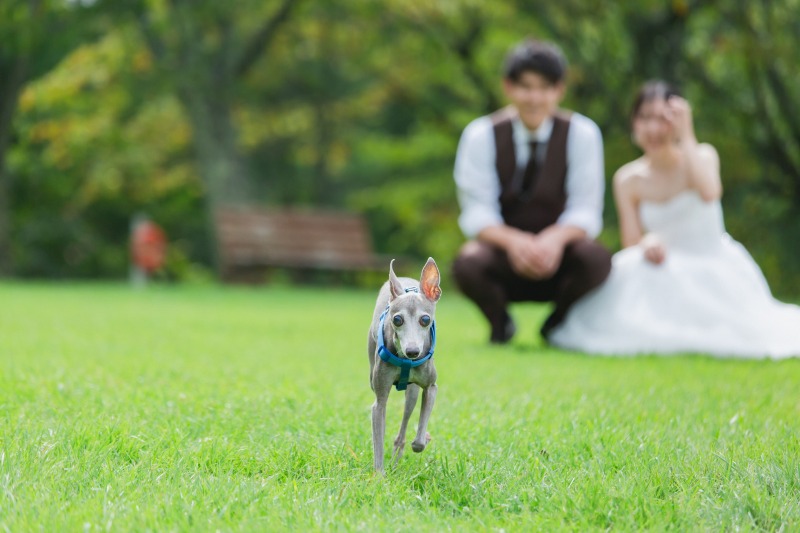 ご予約受付中!