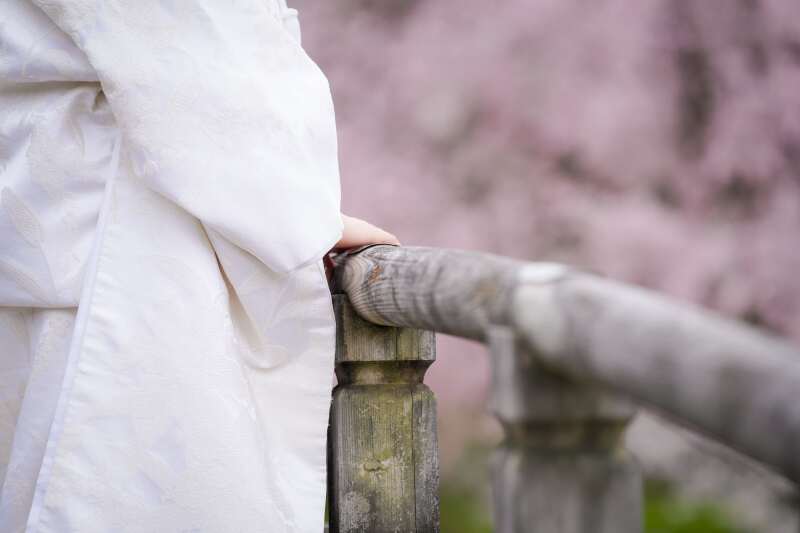 お手元のお写真も