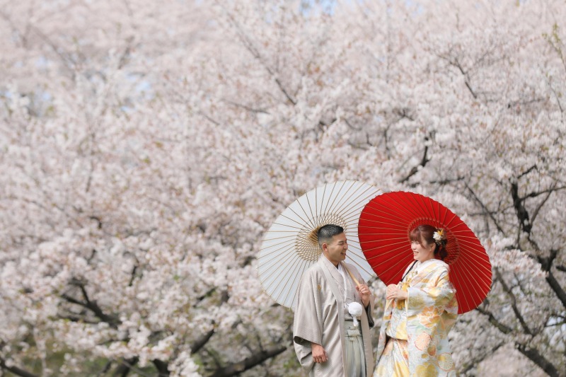 色鮮やかな桜と一緒に