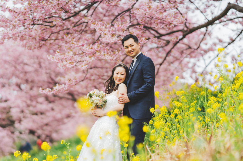 河津桜と菜の花と