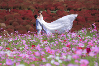 ひたち海浜公園でお二人だけの1枚を残しませんか？