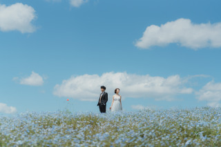 ひたち De ネモフィラ☆