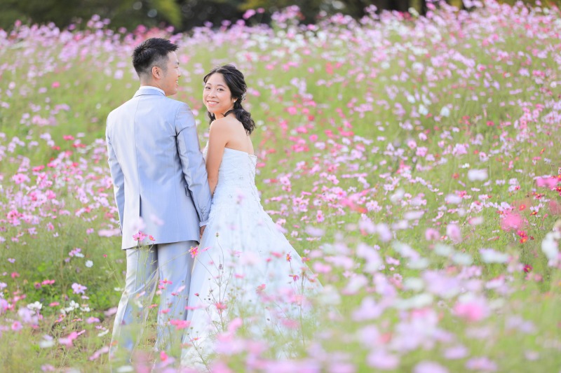 10月はコスモス撮影が大人気！！