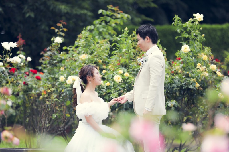 メルヘンな雰囲気で