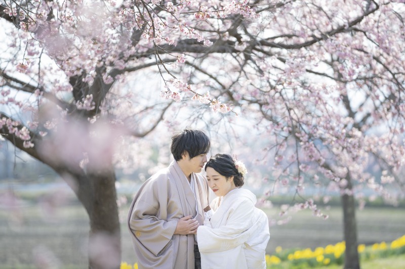 しっとりとした空気感も...