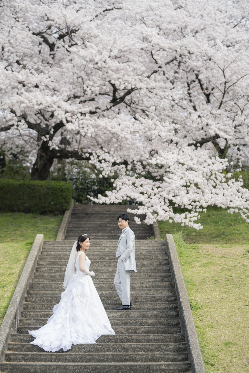 階段にトレーンを流して