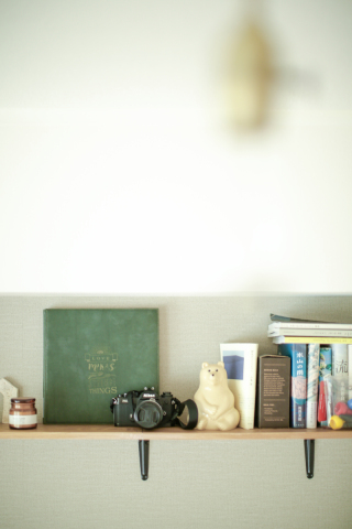 ビゾンテアルバム(30ページ)