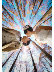 心に残る一枚を。