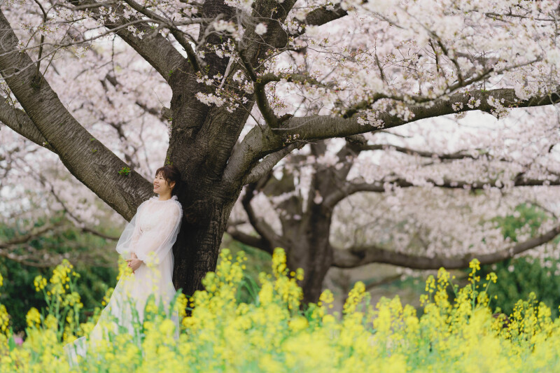 大宮花の丘農林公苑ロケーション｜20Pアルバム＋全データレタッチ付き