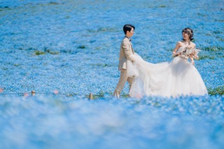 ネモフィラ撮影2万円オフ！！ひたち海浜公園スペシャルキャンペーン♪