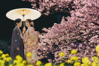 【伊豆河津桜プラン】予約受付中!期間限定2万円OFF