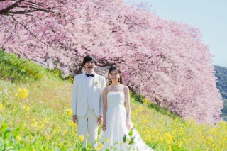  【伊豆河津桜プラン】先行予約受付スタート！先着20組様限定33,000円OFF！！