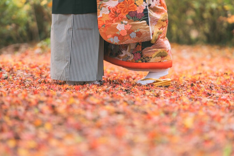 紅葉の絨毯