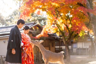 ロケーション撮影＠奈良公園＋紅葉＋鹿