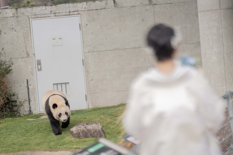 待ち望んだパンダとの撮影✷