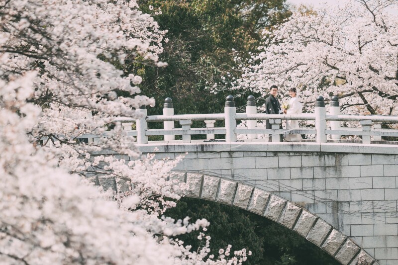 豊富な撮影スポット