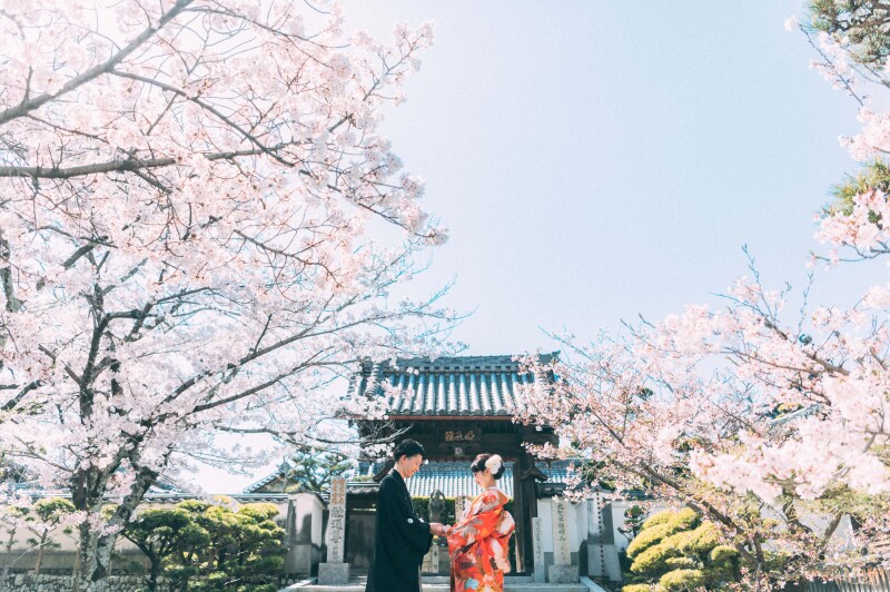 桜シーズンならでは