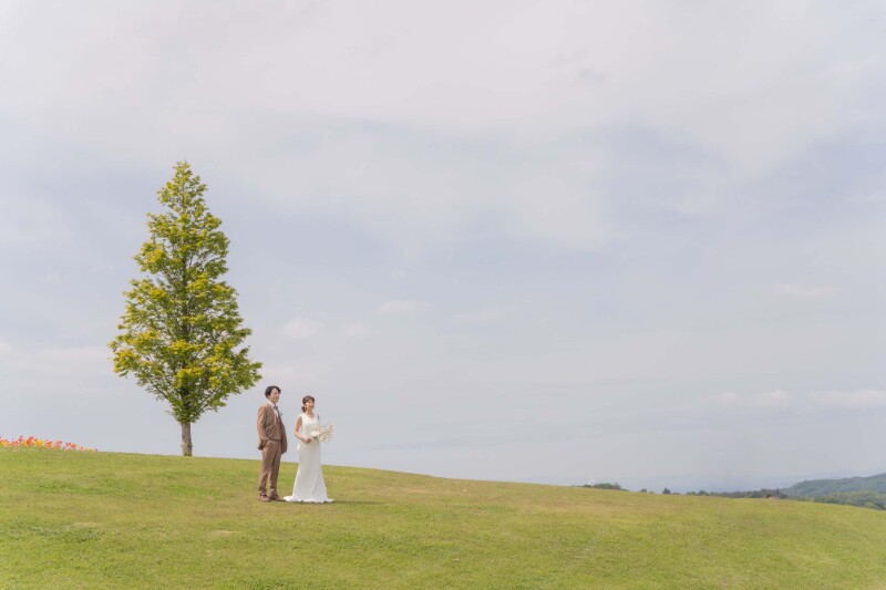 まるで海外の高原の風景~花さじき~