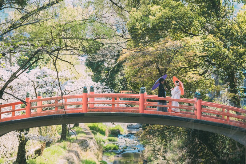 ロケーションを活かした遠目からの1枚