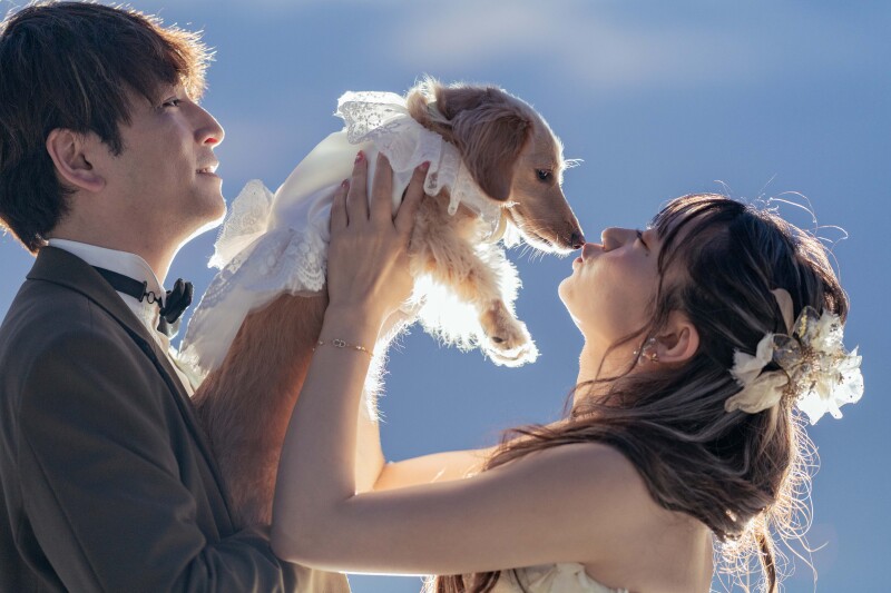 ラストはこちら☆