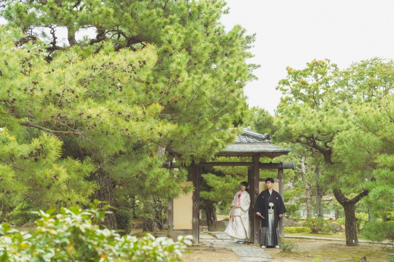 「和の定番」