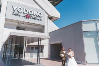 ヨドコウ桜スタジアムフォト！