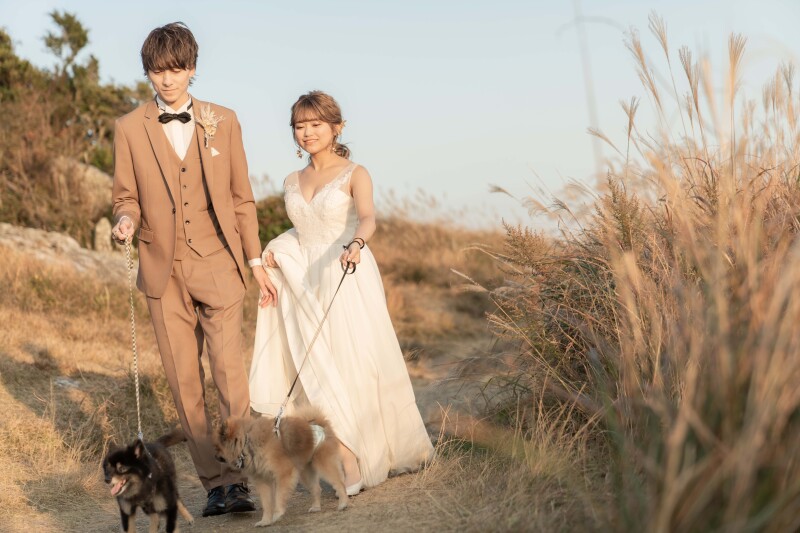 お散歩ショット