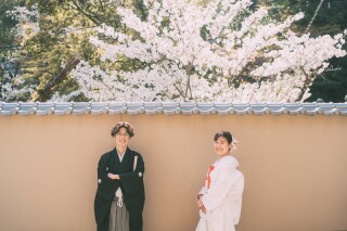 桜ロケーション撮影×スタジオ撮影