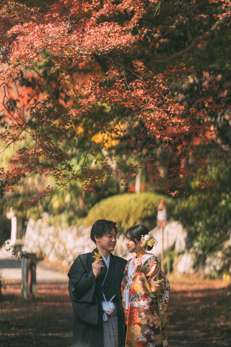 真っ赤な紅葉を背景に