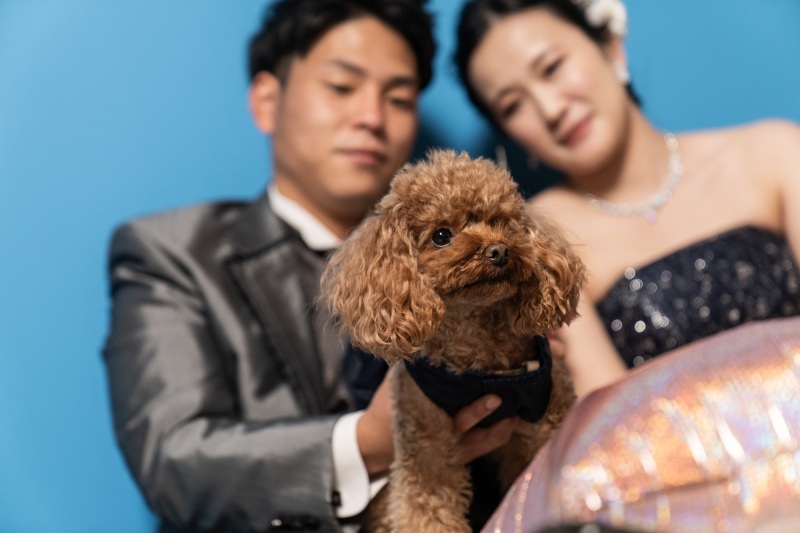 スタジオでもロケーション撮影でもOK