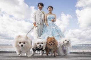 Studio Noi＜ノイ＞