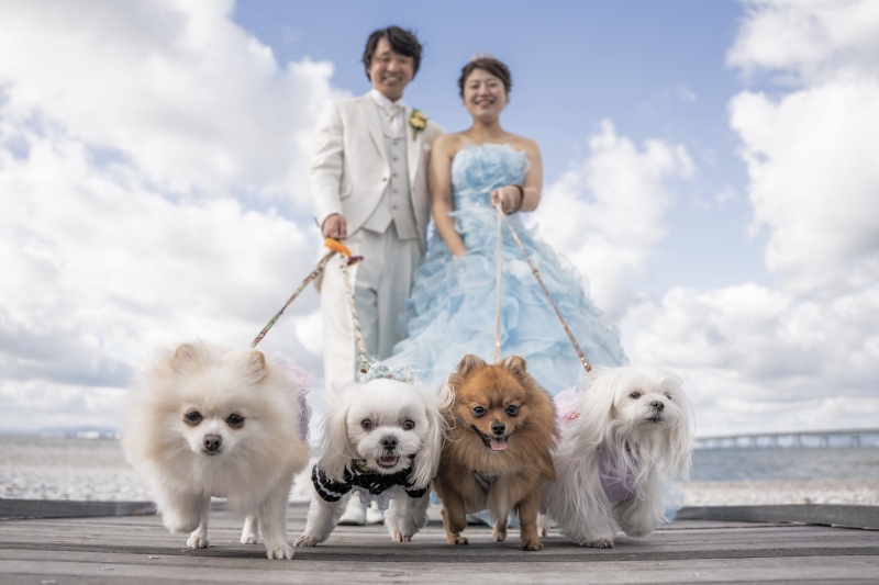 Studio Noi＜ノイ＞_ペットと一緒に撮影できる