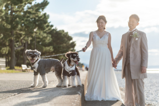 ペットとの撮影 無料