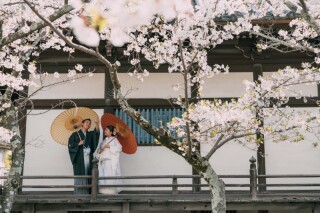 Studio Noi＜ノイ＞_ロケーションフォト＜spring＞