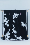 黒ベルベット