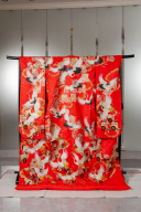 色打掛【230-117】