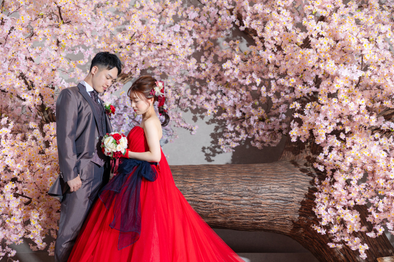 スタジオの桜とご一緒に