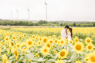 Little Martha 郡山_Location Photo