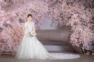 ＊ソロウェディングプラン／選べる洋装1着・スタジオ完全貸切＊