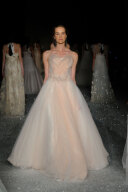 David Fielden(DAVID-03)