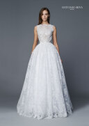 ANTONIO RIVA （ANTONIO-11）