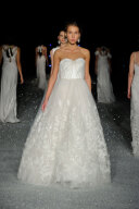 Devid Fielden(DAVID-04)