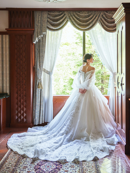 DESTINA BRIDE NS-41(袖-D)