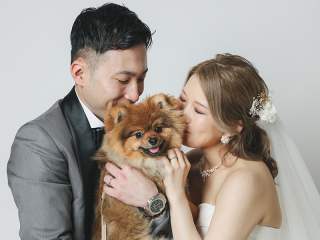 スタジオ マタニティウェディングフォト 画像