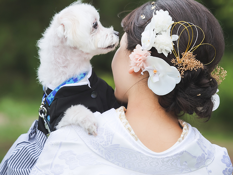 和装美が引き立つ花嫁ショット