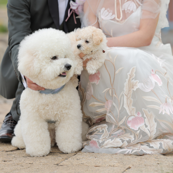 DESTINA photo wedding_ペットと一緒に撮影できる